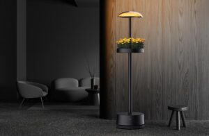 Read more about the article LG found a new job for your standing lamp