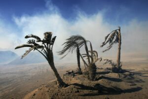 Read more about the article Los Angeles Braces For Another Santa Ana Event With Gusts To 100 MPH