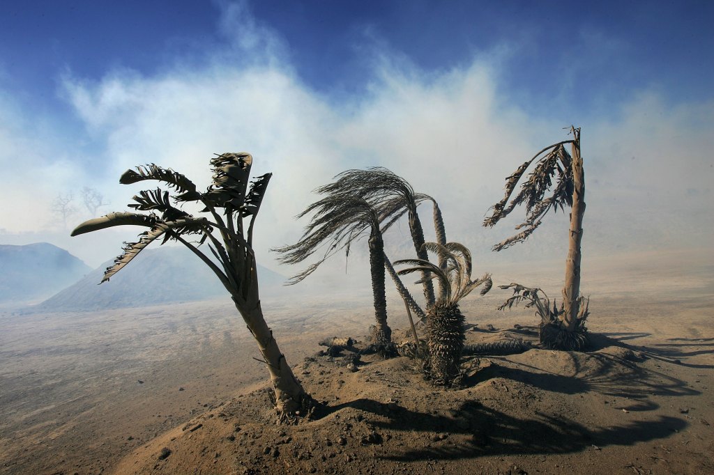 You are currently viewing Los Angeles Braces For Another Santa Ana Event With Gusts To 100 MPH