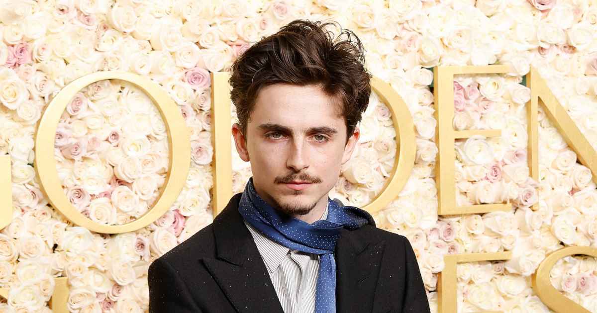 You are currently viewing Timothee Chalamet Reveals He Gained 20 Lbs to Play Bob Dylan