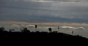 Read more about the article L.A.’s Runyon Canyon Park partially reopens following fire