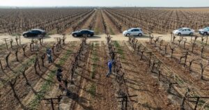 Read more about the article Kern County immigration raid offers glimpse into new reality for farmworkers