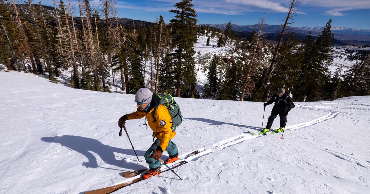 You are currently viewing Frustrated with crowded resorts, more skiers risk backcountry avalanches