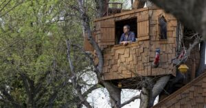 Read more about the article ‘Simpsons’ producer’s landmark L.A. tree house may get the ax