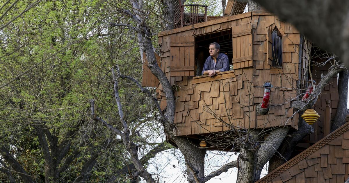 You are currently viewing ‘Simpsons’ producer’s landmark L.A. tree house may get the ax