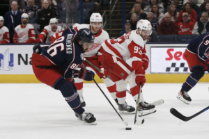 Read more about the article More Than Just a Game: Columbus Blue Jackets, Detroit Red Wings Battle for Wild Card Spots