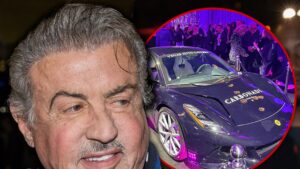 Read more about the article Sylvester Stallone Partners With Auto Dealer to Auction Cars, VIP Experience