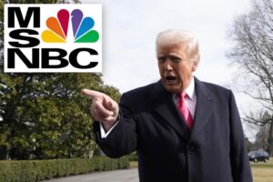 Read more about the article Trump slams MSNBC as ‘threat to democracy’