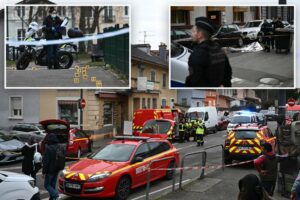 Read more about the article Algerian ‘terrorist’ kills one, injures several, in knife attack in France