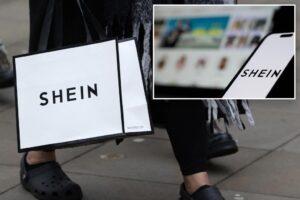 Read more about the article Shein’s annual profit down by more than a third, FT reports