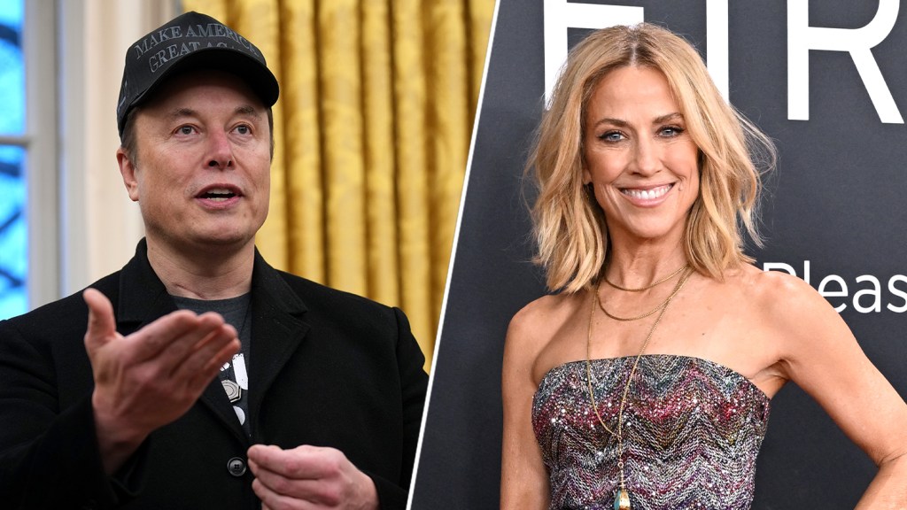 You are currently viewing Sheryl Crow Sells Tesla, Donates Money To NPR In Response To Elon Musk