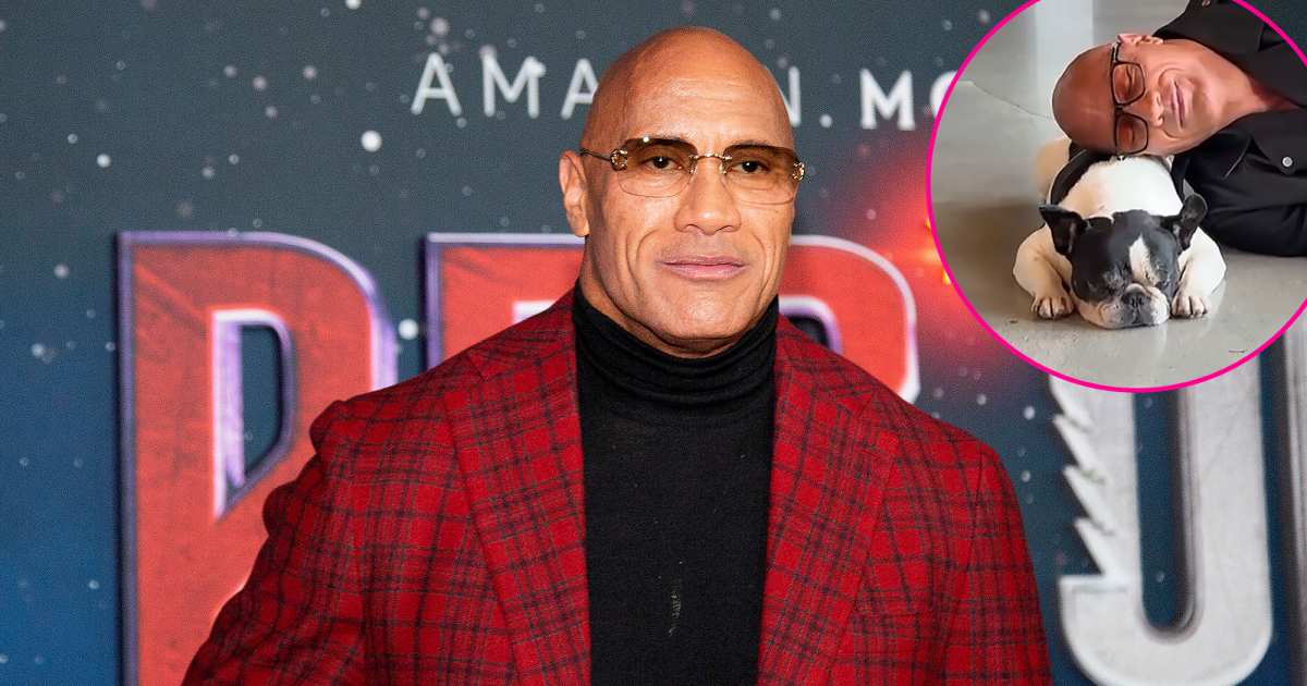 You are currently viewing Dwayne Johnson Is ‘Numb’ Over Death of Beloved Dog Hobbs