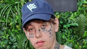 Read more about the article Lil Xan Charged With 2 Felonies for Throwing Mic, Kicking Fan in Face