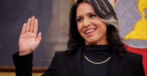 Read more about the article Why Tulsi Gabbard as Trump’s director of intelligence makes sense