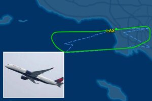 Read more about the article Los Angeles Delta flight emergency landing LAX bound for Sydney