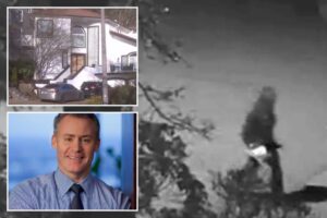 Read more about the article Hooded gunman shoots up SAIF CEO’s Oregon home who received email threats