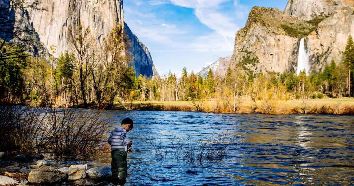 You are currently viewing Amid budget chaos, more than 700 national parks employees take buyout