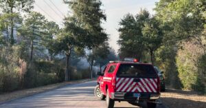 Read more about the article Wildfires in the Carolinas Prompt Evacuations