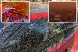 Read more about the article Mystery solved as ‘crazy gross rain’ dirties cars across miles