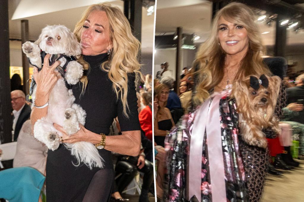 You are currently viewing Dina Lohan and dogs over take the catwalk for charity