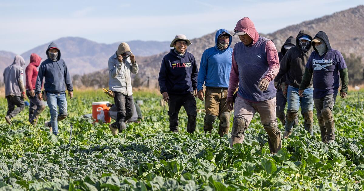 You are currently viewing Farm groups look to stabilize workforce amid immigration crackdown