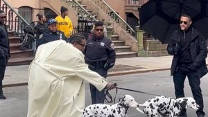 Read more about the article A$AP Rocky Gets Dragged by Dalmatians During Photo Shoot