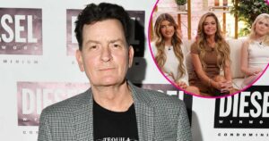 Read more about the article Where Denise Richards’ Daughters Stand With Charlie Sheen Today