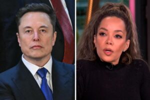 Read more about the article ‘The View’s Sunny Hostin Declares “Lawless” Elon Musk Must Be Stopped : He Is “Doing All Of This Illegally And Unconstitutionally”