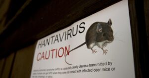 Read more about the article What is hantavirus, the rare disease that killed Betsy Arakawa?