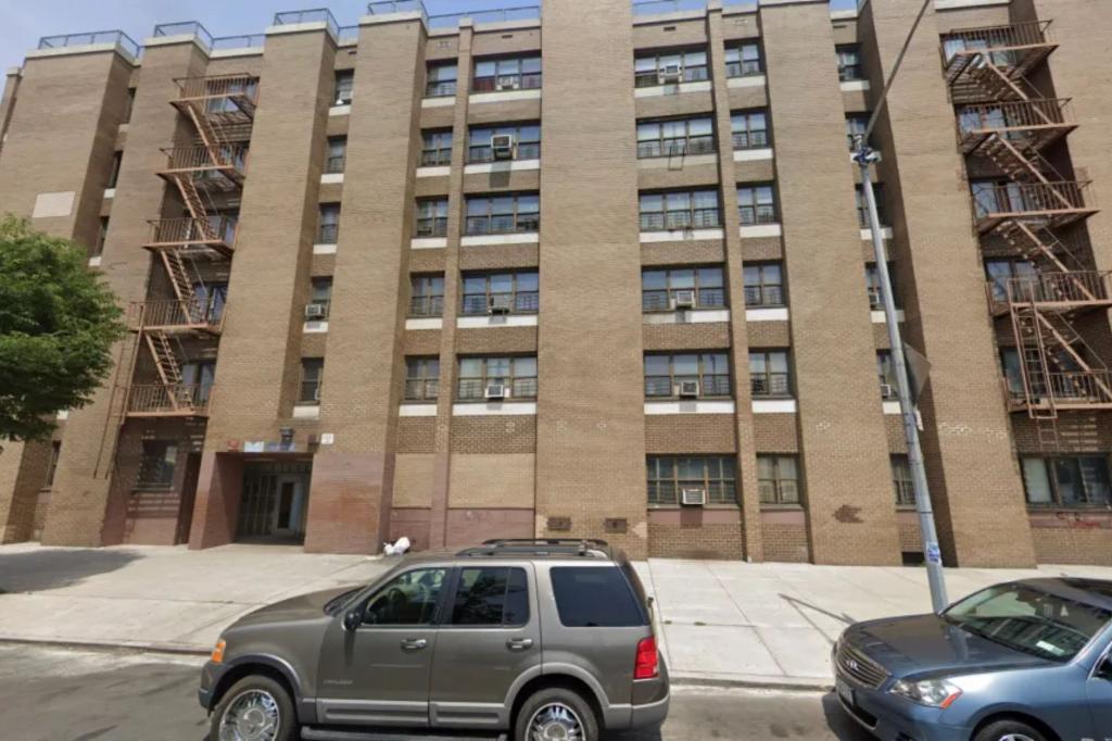 You are currently viewing Decomposed bodies of boy, 6, and mother found in NYC apartment: sources